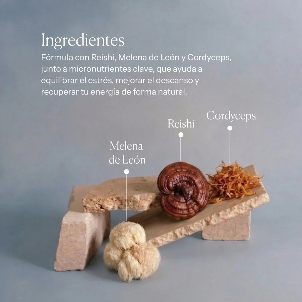 HIFAS-Equilibrium (Reishi, Lion’s Mane, Cordyceps) Capsules