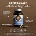 HIFAS-Equilibrium (Reishi, Lion’s Mane, Cordyceps) Capsules