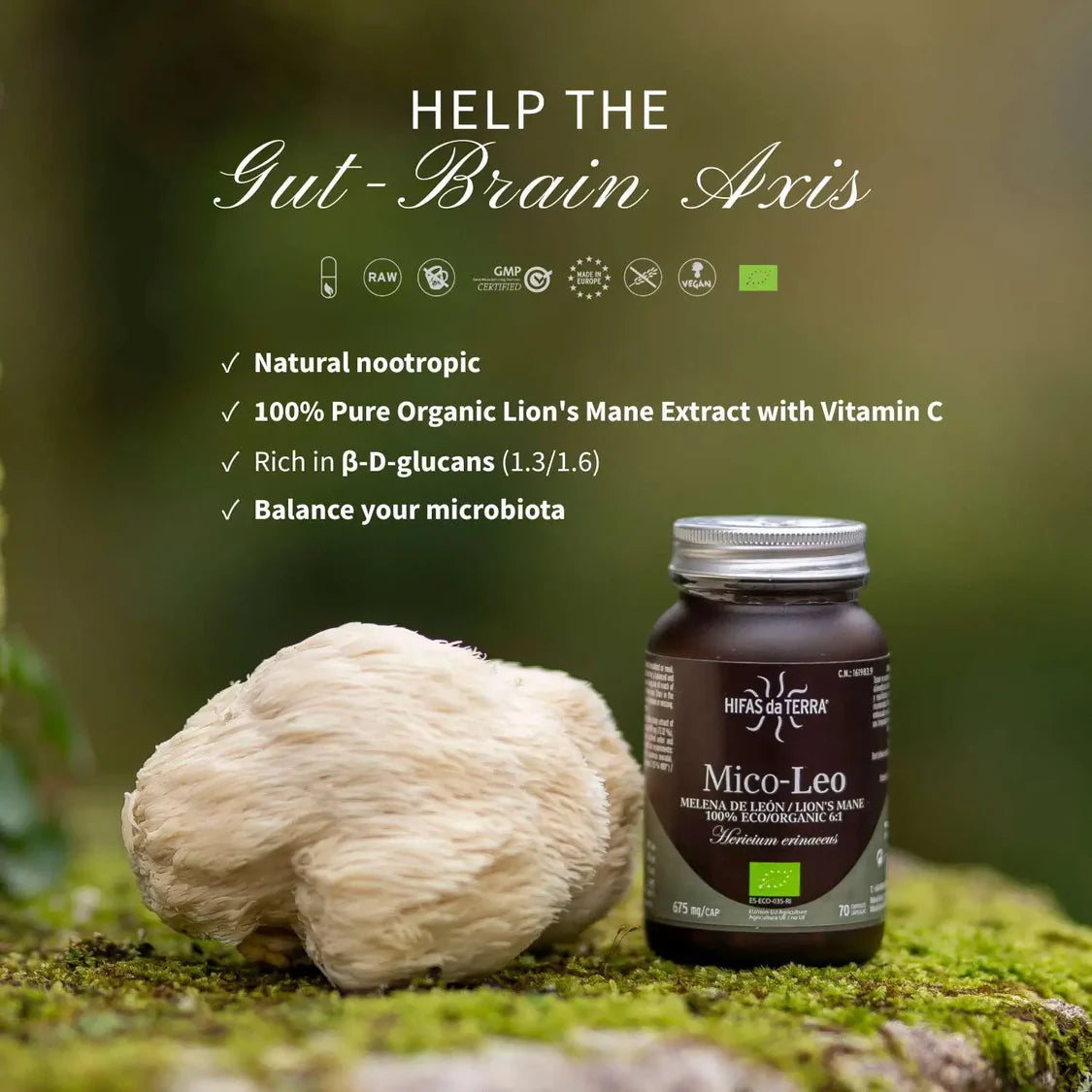 Mico Leo (Lion’s Mane Extract) Capsules in the Bottle