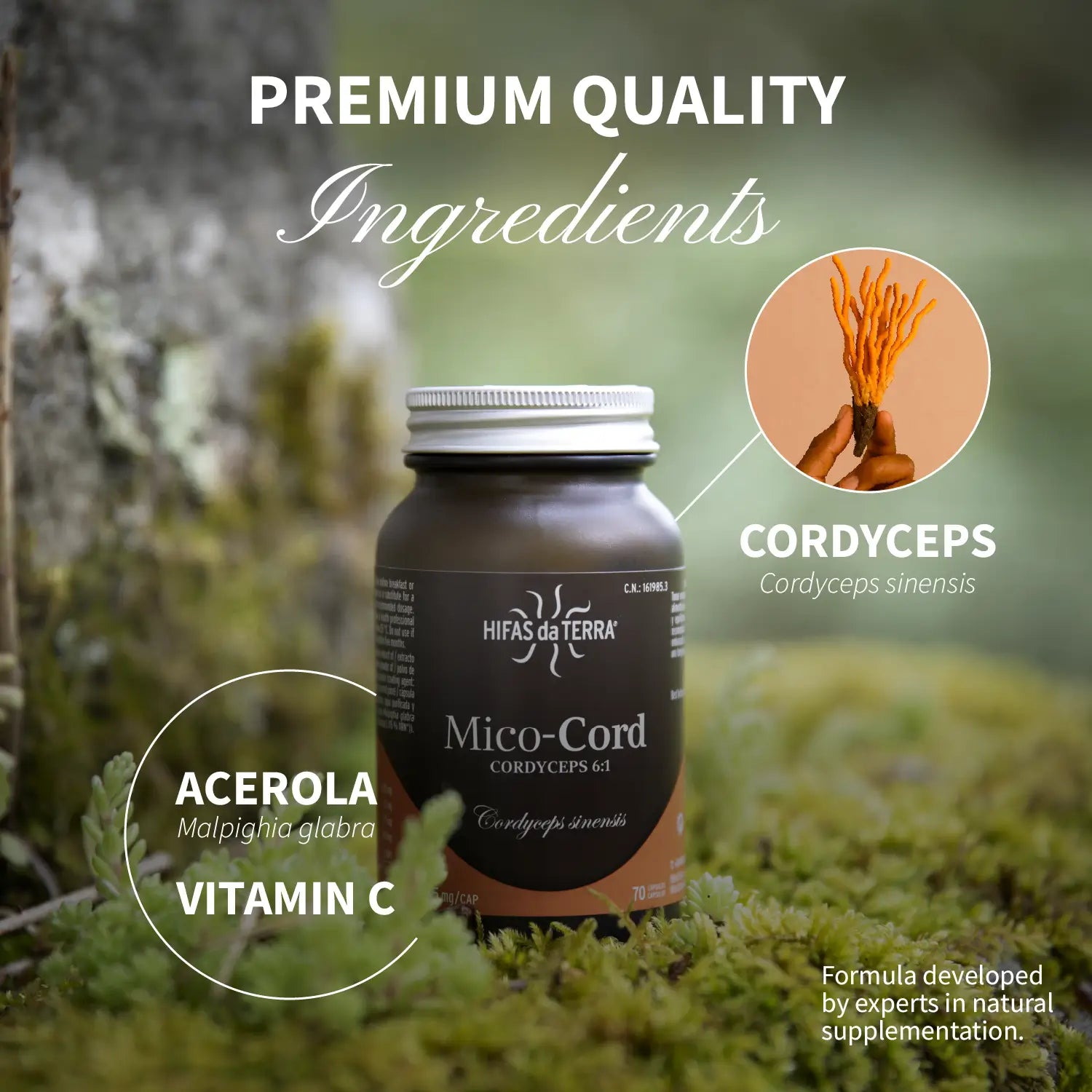 Mico Cord (Cordyceps Extract) Capsules Refill Packet